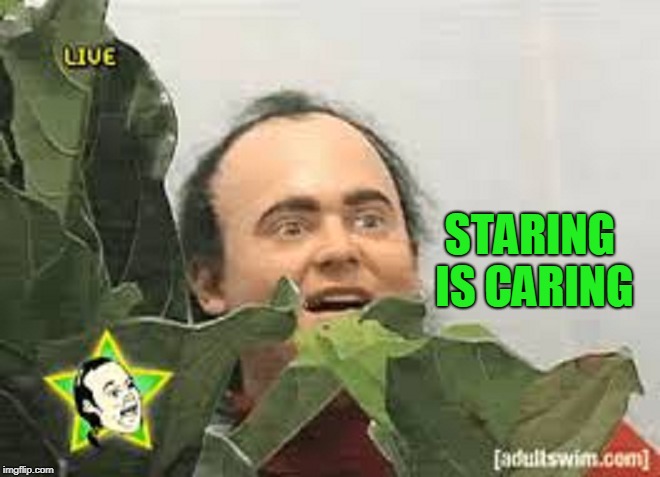 If I didn't care, I wouldn't stare. | STARING IS CARING | image tagged in creeper | made w/ Imgflip meme maker