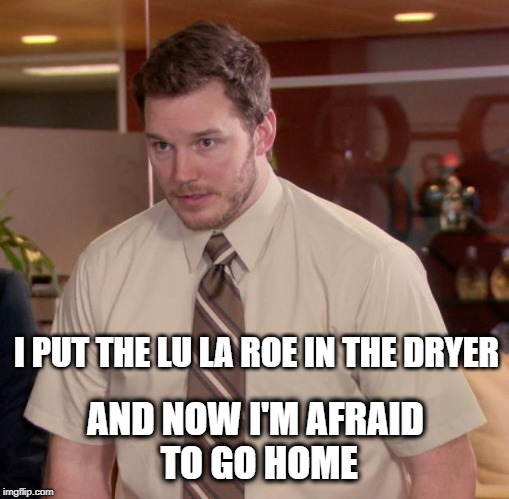 Afraid To Ask Andy | I PUT THE LU LA ROE IN THE DRYER; AND NOW I'M AFRAID TO GO HOME | image tagged in memes,afraid to ask andy,lu la roe,shrinkage,laundry | made w/ Imgflip meme maker