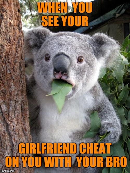 Surprised Koala Meme | WHEN  YOU SEE YOUR; GIRLFRIEND CHEAT ON YOU WITH  YOUR BRO | image tagged in memes,surprised koala | made w/ Imgflip meme maker