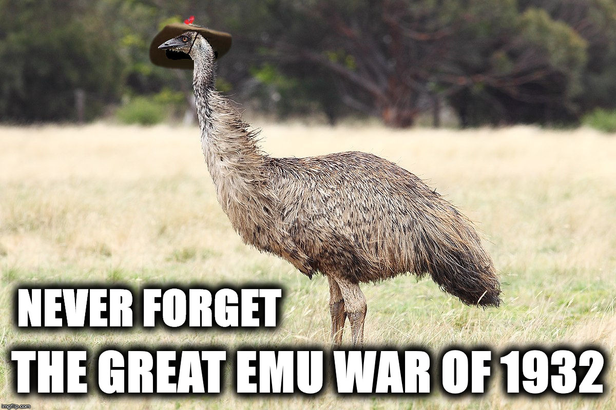 And now, let us pause to remember this moment in history. (google it) | NEVER FORGET; THE GREAT EMU WAR OF 1932 | image tagged in the great emu war,never forget,1932,australia | made w/ Imgflip meme maker