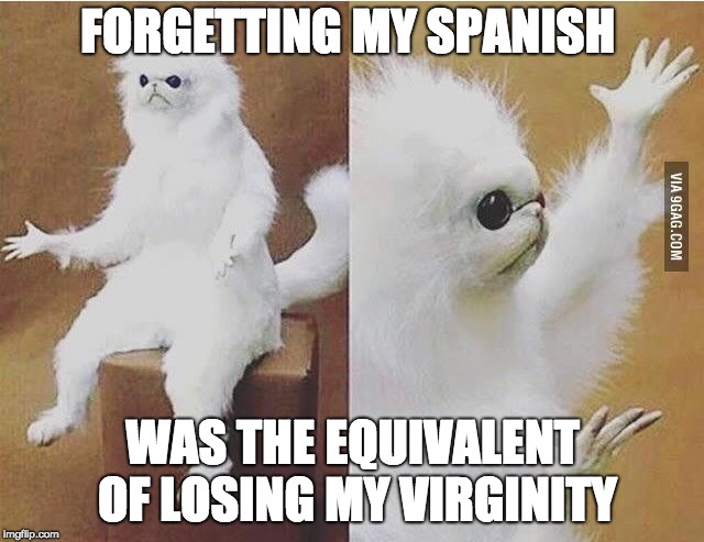 Confused white monkey | FORGETTING MY SPANISH; WAS THE EQUIVALENT OF LOSING MY VIRGINITY | image tagged in confused white monkey | made w/ Imgflip meme maker