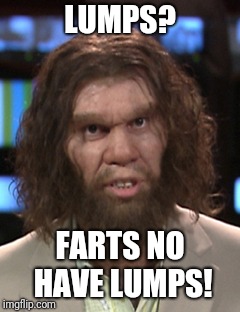 LUMPS? FARTS NO HAVE LUMPS! | image tagged in meme | made w/ Imgflip meme maker