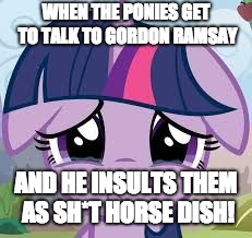 sad twilight | WHEN THE PONIES GET TO TALK TO GORDON RAMSAY; AND HE INSULTS THEM AS SH*T HORSE DISH! | image tagged in sad twilight | made w/ Imgflip meme maker