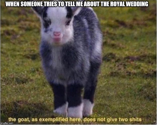 No one cares about a couple of royals who dont do much but produce royal babies | WHEN SOMEONE TRIES TO TELL ME ABOUT THE ROYAL WEDDING | image tagged in royal wedding,two shits,no one cares | made w/ Imgflip meme maker