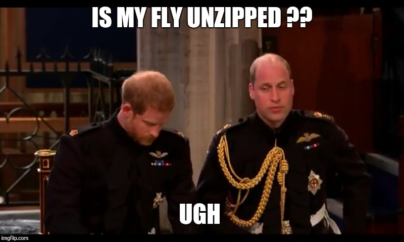 Is my fly unzipped  | IS MY FLY UNZIPPED ?? UGH | image tagged in humor | made w/ Imgflip meme maker