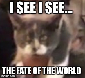 Look into the eyes  | I SEE I SEE... THE FATE OF THE WORLD | image tagged in deep thinking cat | made w/ Imgflip meme maker