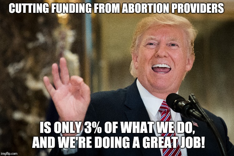 3% | CUTTING FUNDING FROM ABORTION PROVIDERS; IS ONLY 3% OF WHAT WE DO, AND WE'RE DOING A GREAT JOB! | image tagged in donald trump,potus,potus45,abortion,prolife,planned parenthood | made w/ Imgflip meme maker