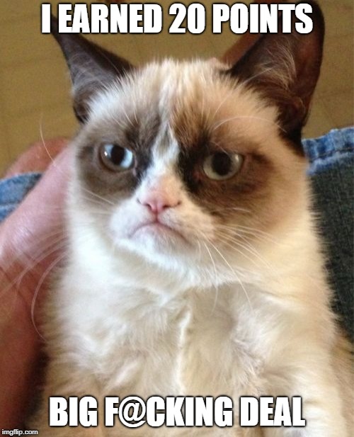 Grumpy Cat Meme | I EARNED 20 POINTS; BIG F@CKING DEAL | image tagged in memes,grumpy cat | made w/ Imgflip meme maker