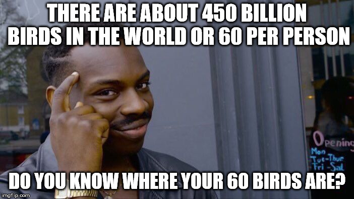 I don't even like birds. | THERE ARE ABOUT 450 BILLION BIRDS IN THE WORLD OR 60 PER PERSON; DO YOU KNOW WHERE YOUR 60 BIRDS ARE? | image tagged in memes,roll safe think about it | made w/ Imgflip meme maker