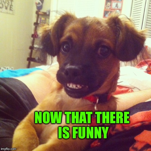 NOW THAT THERE IS FUNNY | made w/ Imgflip meme maker
