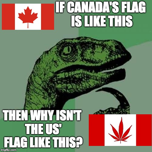 WE NEED TO CHANGE OUR FLAG SHEEPLE | IF CANADA'S FLAG IS LIKE THIS; THEN WHY ISN'T THE US' FLAG LIKE THIS? | image tagged in memes,philosoraptor,canada,usa,funny | made w/ Imgflip meme maker