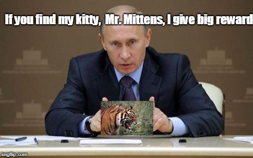 Russian State TV: Special Announcement | If you find my kitty,  Mr. Mittens, I give big reward | image tagged in memes,vladimir putin,kitty | made w/ Imgflip meme maker