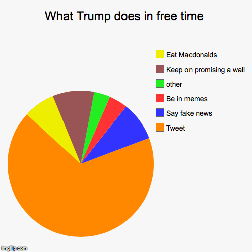 What Trump does in free time | Tweet, Say fake news, Be in memes, other, Keep on promising a wall, Eat Macdonalds | image tagged in funny,pie charts | made w/ Imgflip chart maker
