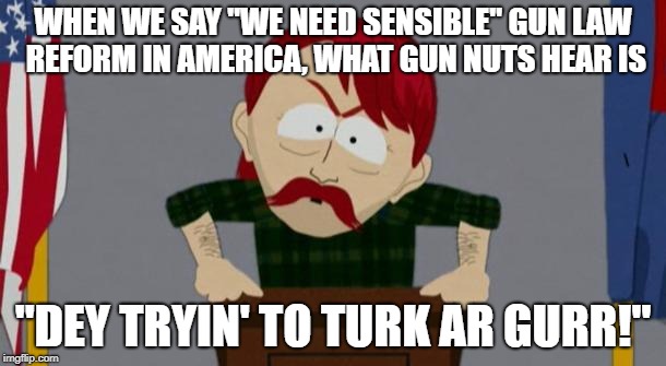 They took our jobs stance (South Park) | WHEN WE SAY "WE NEED SENSIBLE" GUN LAW REFORM IN AMERICA, WHAT GUN NUTS HEAR IS; "DEY TRYIN' TO TURK AR GURR!" | image tagged in they took our jobs stance south park | made w/ Imgflip meme maker