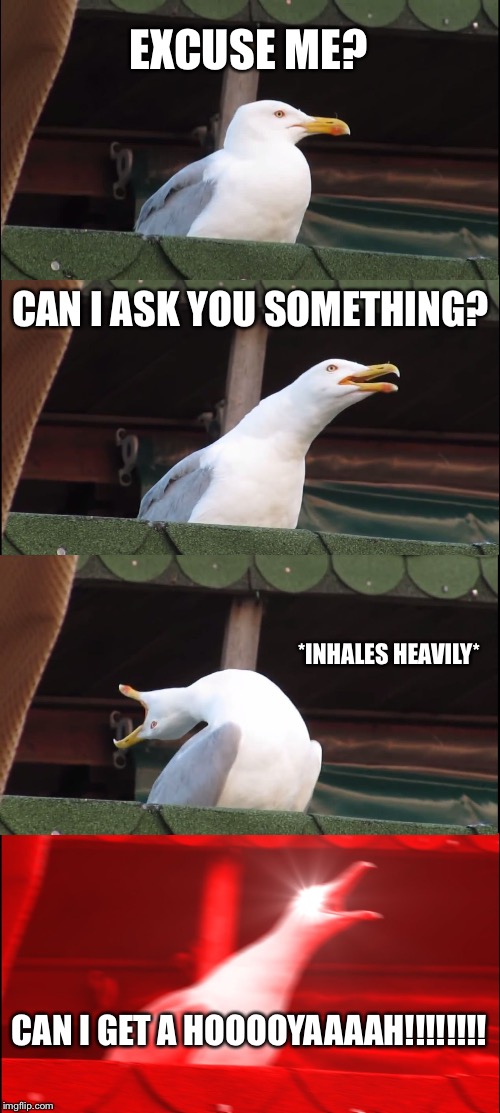 Inhaling Seagull Meme | EXCUSE ME? CAN I ASK YOU SOMETHING? *INHALES HEAVILY*; CAN I GET A HOOOOYAAAAH!!!!!!!! | image tagged in memes,inhaling seagull | made w/ Imgflip meme maker