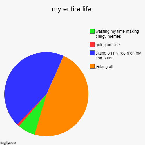 my entire life | jerking off, sitting on my room on my computer, going outside , wasting my time making cringy memes | image tagged in funny,pie charts | made w/ Imgflip chart maker