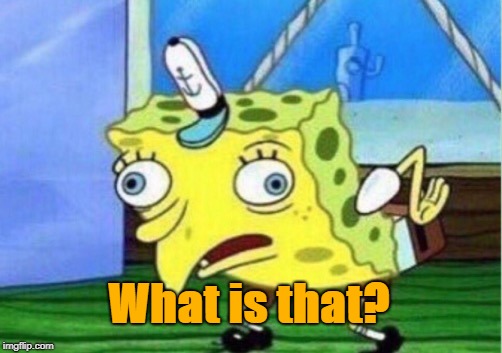 What is that? | image tagged in memes,mocking spongebob | made w/ Imgflip meme maker
