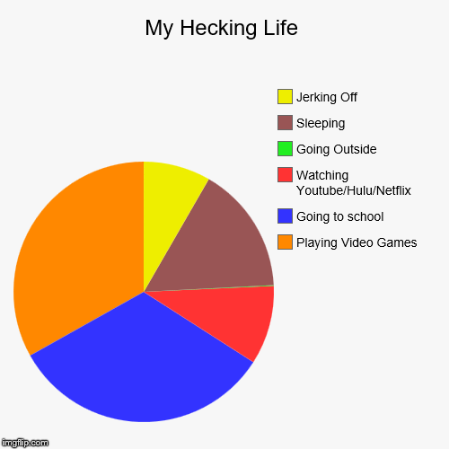 My Hecking Life | Playing Video Games, Going to school, Watching Youtube/Hulu/Netflix, Going Outside, Sleeping, Jerking Off | image tagged in funny,pie charts | made w/ Imgflip chart maker
