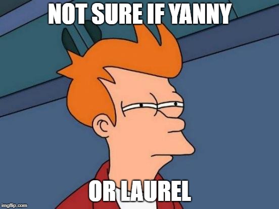 Futurama Fry | NOT SURE IF YANNY; OR LAUREL | image tagged in memes,futurama fry | made w/ Imgflip meme maker