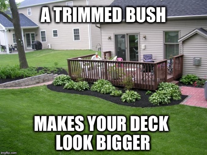Get noticed! | A TRIMMED BUSH; MAKES YOUR DECK LOOK BIGGER | image tagged in funny memes,imgflip,gardening,summer | made w/ Imgflip meme maker