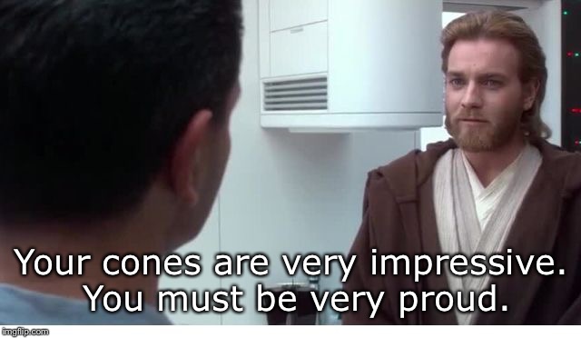 You must be very proud | Your cones are very impressive. You must be very proud. | image tagged in you must be very proud | made w/ Imgflip meme maker