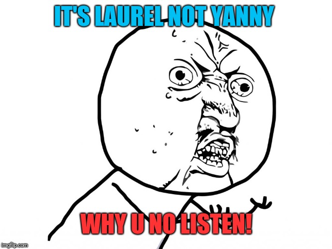 Why u no face | IT'S LAUREL NOT YANNY; WHY U NO LISTEN! | image tagged in why u no face | made w/ Imgflip meme maker