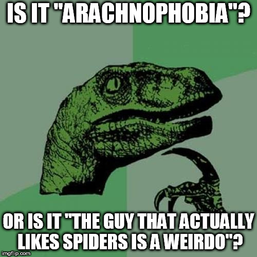 ITS NOT A PHOBIA...ITS NORMAL | IS IT "ARACHNOPHOBIA"? OR IS IT "THE GUY THAT ACTUALLY LIKES SPIDERS IS A WEIRDO"? | image tagged in memes,philosoraptor | made w/ Imgflip meme maker