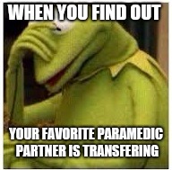 Kermit Face Palm | WHEN YOU FIND OUT; YOUR FAVORITE PARAMEDIC PARTNER IS TRANSFERING | image tagged in kermit face palm | made w/ Imgflip meme maker