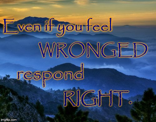 Respond RIGHT When Wronged | Even if you feel; WRONGED; respond; RIGHT. | image tagged in when wronged,right a wrong,respond right | made w/ Imgflip meme maker