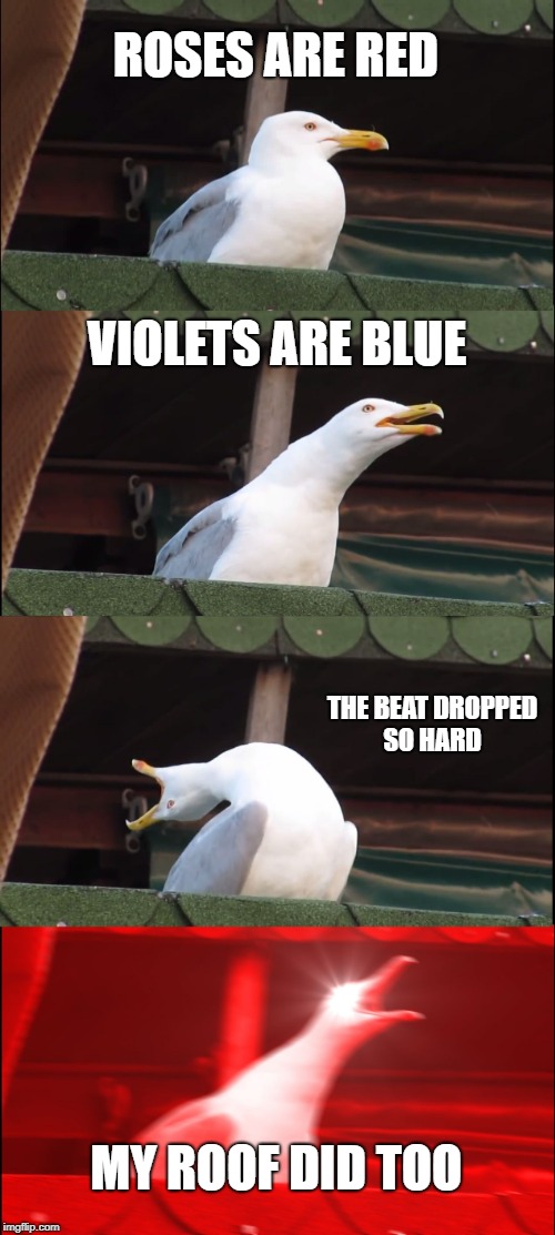 Inhaling Seagull Meme | ROSES ARE RED; VIOLETS ARE BLUE; THE BEAT DROPPED SO HARD; MY ROOF DID TOO | image tagged in memes,inhaling seagull | made w/ Imgflip meme maker