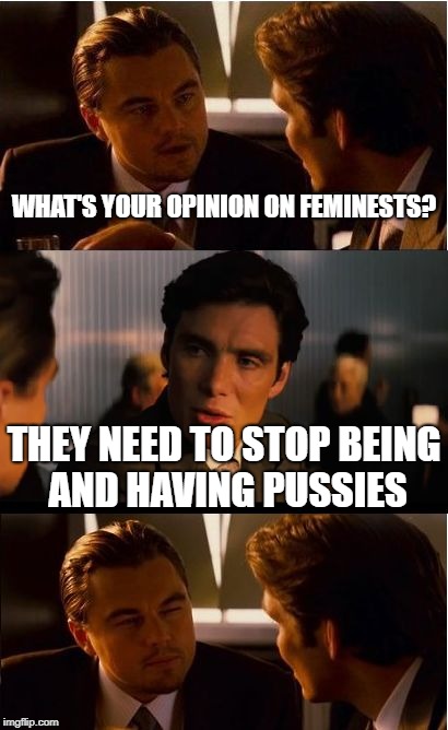 Inception Meme | WHAT'S YOUR OPINION ON FEMINESTS? THEY NEED TO STOP BEING AND HAVING PUSSIES | image tagged in memes,inception | made w/ Imgflip meme maker