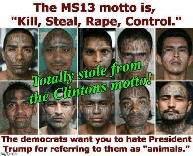 Well if you can't join them............... | Totally stole from the Clintons motto! | image tagged in clintons,ms-13,gang,the wall,illegal immigration | made w/ Imgflip meme maker