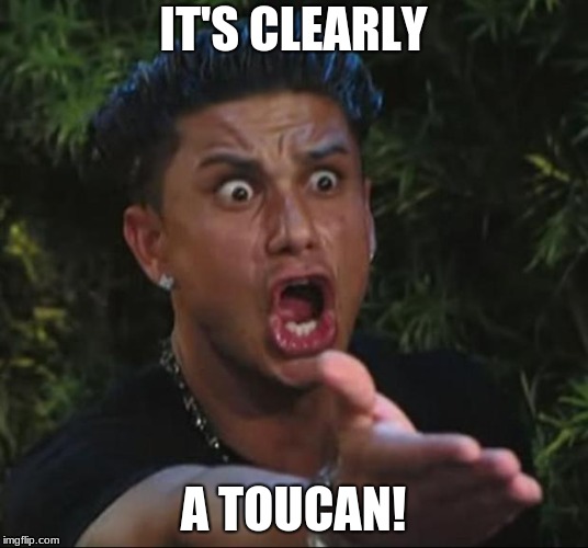 DJ Pauly D Meme | IT'S CLEARLY; A TOUCAN! | image tagged in memes,dj pauly d | made w/ Imgflip meme maker