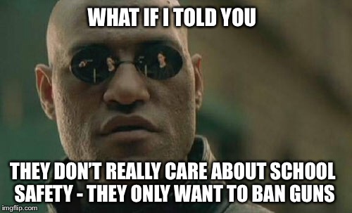 Matrix Morpheus Meme | WHAT IF I TOLD YOU; THEY DON’T REALLY CARE ABOUT SCHOOL SAFETY - THEY ONLY WANT TO BAN GUNS | image tagged in memes,matrix morpheus,gun control,school shooting | made w/ Imgflip meme maker