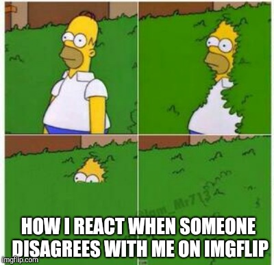 Homer hides | HOW I REACT WHEN SOMEONE DISAGREES WITH ME ON IMGFLIP | image tagged in introvert,homer simpson | made w/ Imgflip meme maker