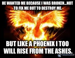 phoenix | HE WANTED ME BECAUSE I WAS BROKEN...NOT TO FIX ME BUT TO DESTROY ME. BUT LIKE A PHOENIX I TOO WILL RISE FROM THE ASHES. | image tagged in phoenix | made w/ Imgflip meme maker