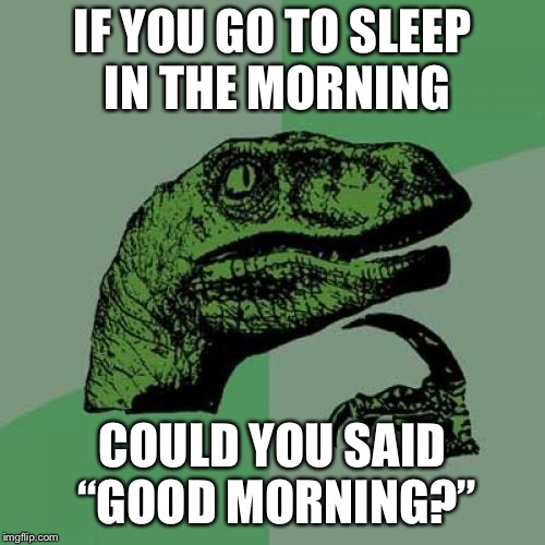 Philosoraptor | IF YOU GO TO SLEEP IN THE MORNING; COULD YOU SAID “GOOD MORNING?” | image tagged in memes,philosoraptor | made w/ Imgflip meme maker