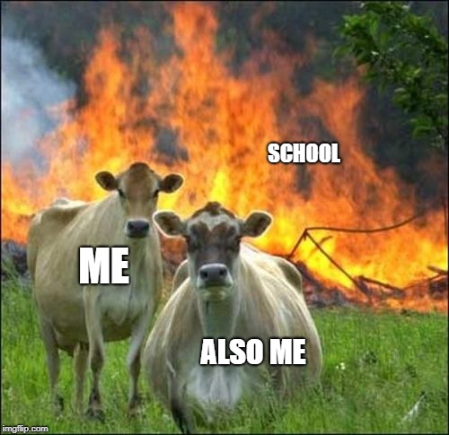 Evil Cows Meme | SCHOOL; ME; ALSO ME | image tagged in memes,evil cows | made w/ Imgflip meme maker