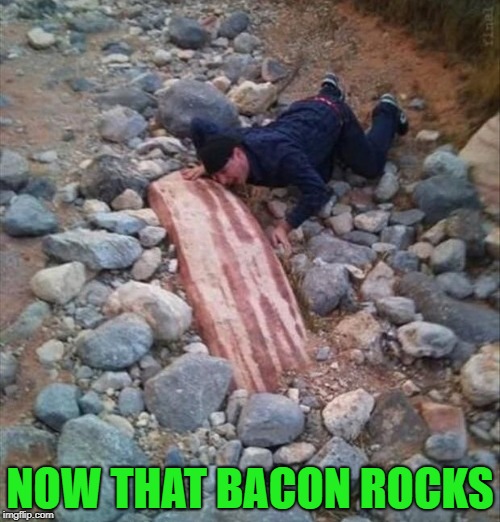 He has the mother lode of Bacon! | NOW THAT BACON ROCKS | image tagged in bacon,memes,rocks,funny,hard bacon | made w/ Imgflip meme maker