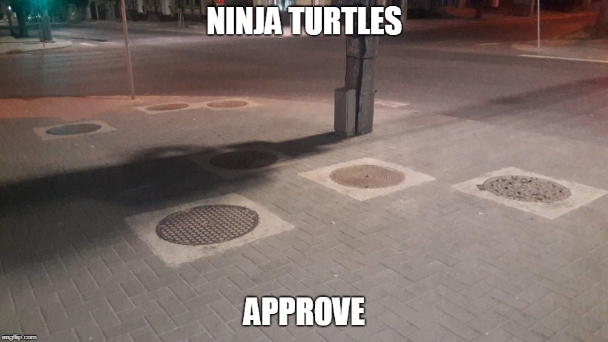 ninja |  NINJA TURTLES; APPROVE | image tagged in ninja,turles,road,approve | made w/ Imgflip meme maker