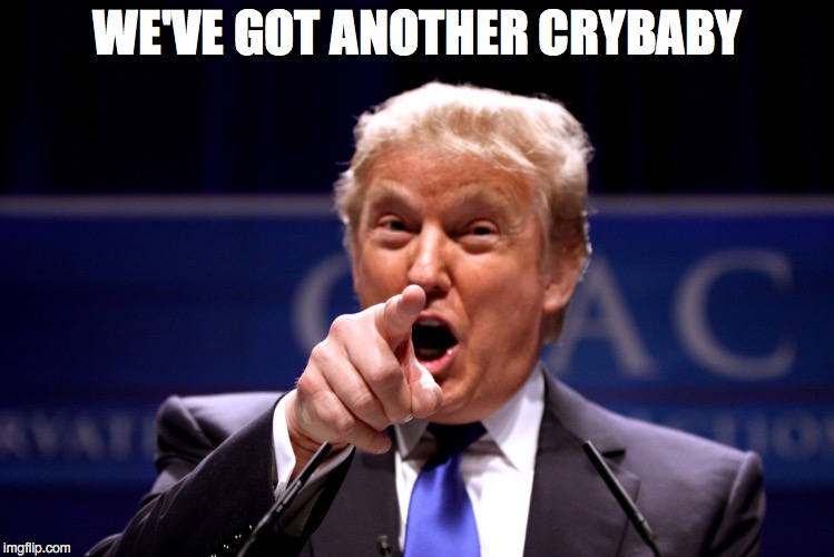 You Can't Handle The Truth! | WE'VE GOT ANOTHER CRYBABY | image tagged in liberals,snowflakes,crybaby,donald,donald trump,you can't handle the truth | made w/ Imgflip meme maker