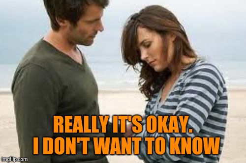 REALLY IT'S OKAY.  I DON'T WANT TO KNOW | made w/ Imgflip meme maker