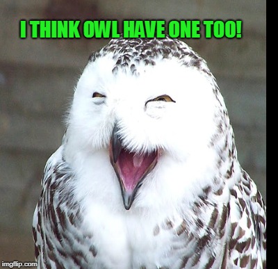 I THINK OWL HAVE ONE TOO! | made w/ Imgflip meme maker