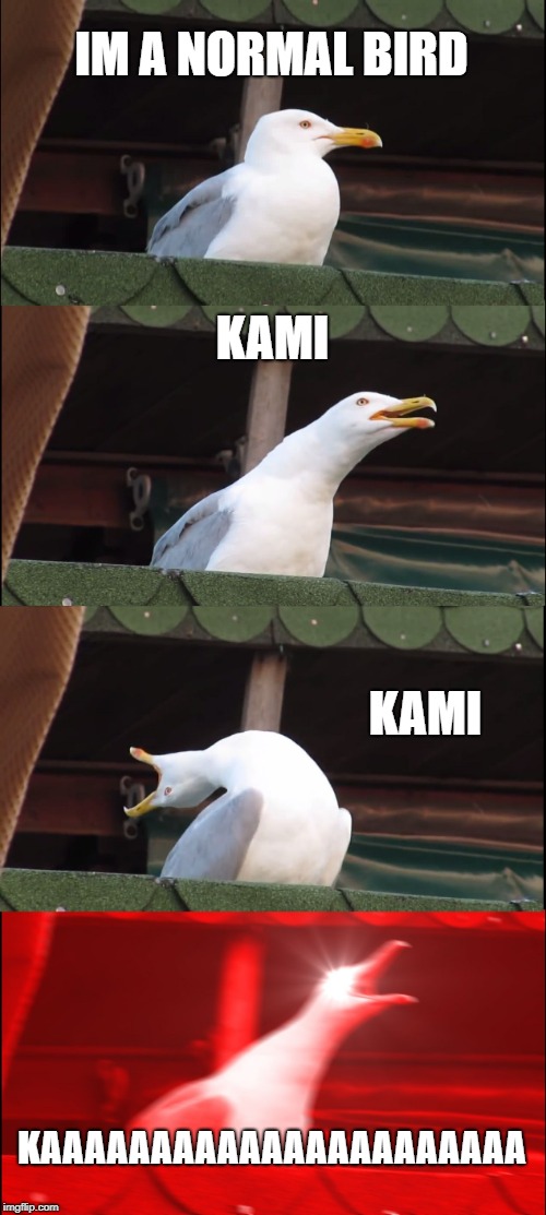 Inhaling Seagull | IM A NORMAL BIRD; KAMI; KAMI; KAAAAAAAAAAAAAAAAAAAAAA | image tagged in memes,inhaling seagull | made w/ Imgflip meme maker