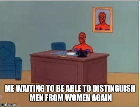 Spiderman Computer Desk Meme | ME WAITING TO BE ABLE TO DISTINGUISH MEN FROM WOMEN AGAIN | image tagged in memes,spiderman computer desk,spiderman | made w/ Imgflip meme maker