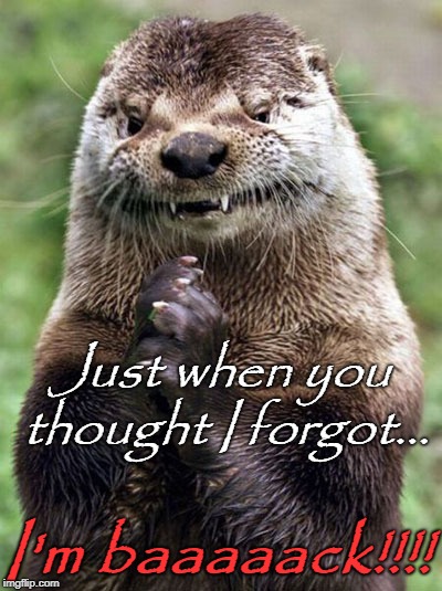 Evil Otter Meme | Just when you thought I forgot... I'm baaaaack!!!! | image tagged in memes,evil otter | made w/ Imgflip meme maker