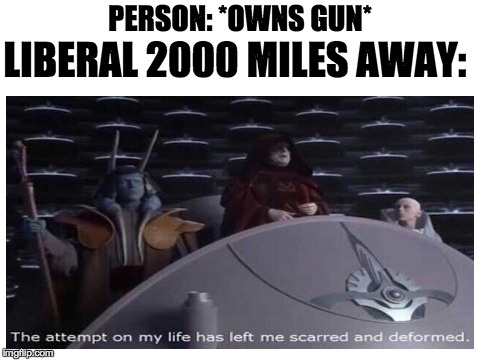 anti gun activists in a nutshell | LIBERAL 2000 MILES AWAY:; PERSON: *OWNS GUN* | image tagged in memes,funny,guns,emperor palpatine,liberals,gun control | made w/ Imgflip meme maker