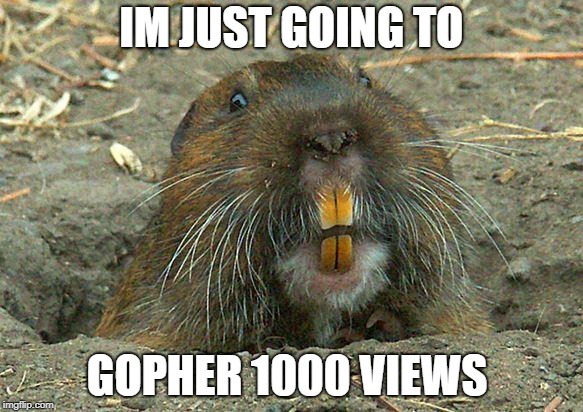 DOFR Gopher | IM JUST GOING TO; GOPHER 1000 VIEWS | image tagged in dofr gopher | made w/ Imgflip meme maker