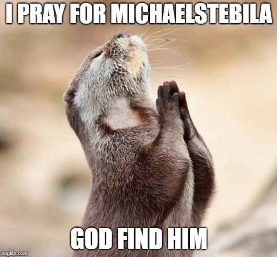animal praying | I PRAY FOR MICHAELSTEBILA; GOD FIND HIM | image tagged in animal praying | made w/ Imgflip meme maker