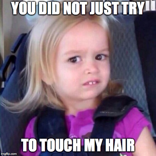 chloe | YOU DID NOT JUST TRY; TO TOUCH MY HAIR | image tagged in chloe | made w/ Imgflip meme maker